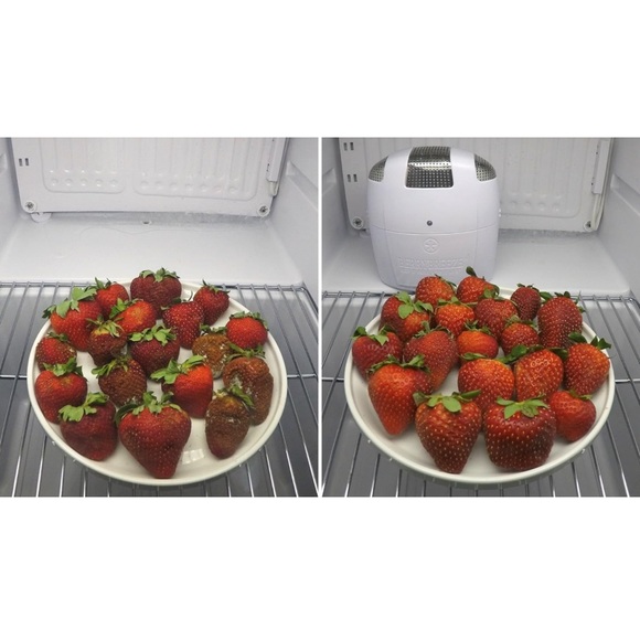 Berry Breeze Activated Oxygen Refrigerator Deodorizer -White - Picture 6 of 9